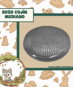 BOSU COJIN MEDIANO (35CM)