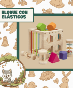 BLOQUE CON ELASTICOS