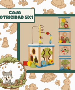 CAJA MOTRICIDAD 5X1